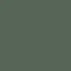 Cuisine vert